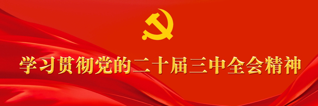 学习贯彻党的二十届三中全会精神